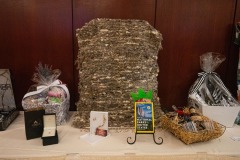 WV-Caring-Hospice-Gala-Event-08_27_2024-BP-64